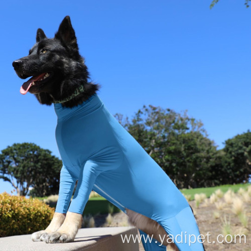 Fashion new designer invention pets clothes